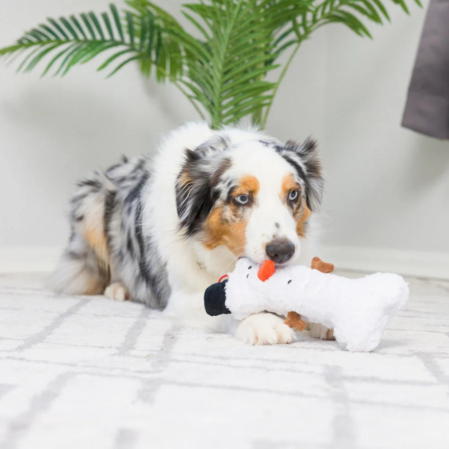 snowman bone