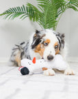 snowman bone