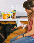 Barktender Pawtini