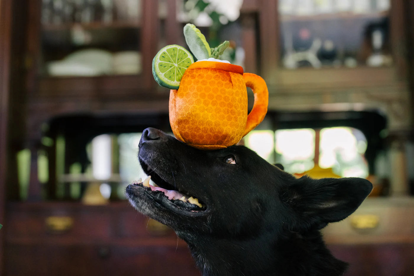 Barktender Mospaw Mule