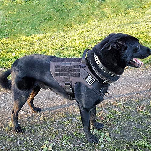 Tactical Harness Onyx Black