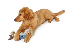 SaltyDOG Australian Pet Products - Dog Toys