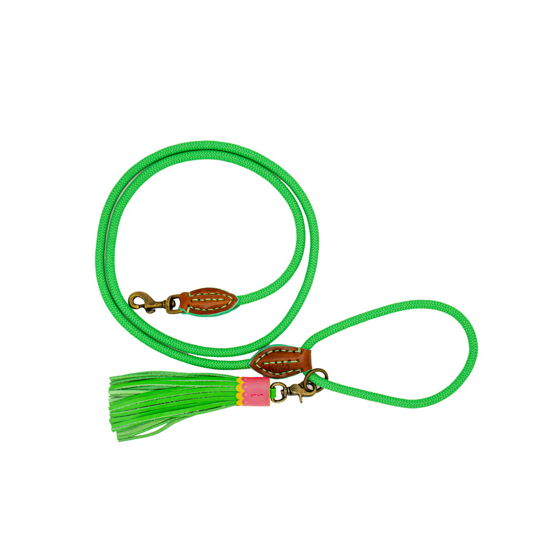 Apple Pie Dog Leash