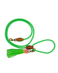 Apple Pie Dog Leash