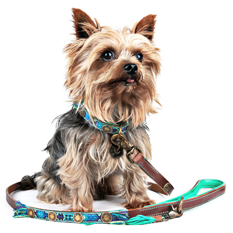 Boho Juan Dog Leash