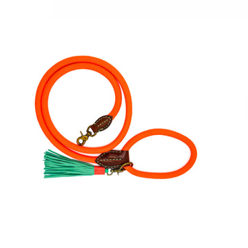 Carrot Cake Dog Leash