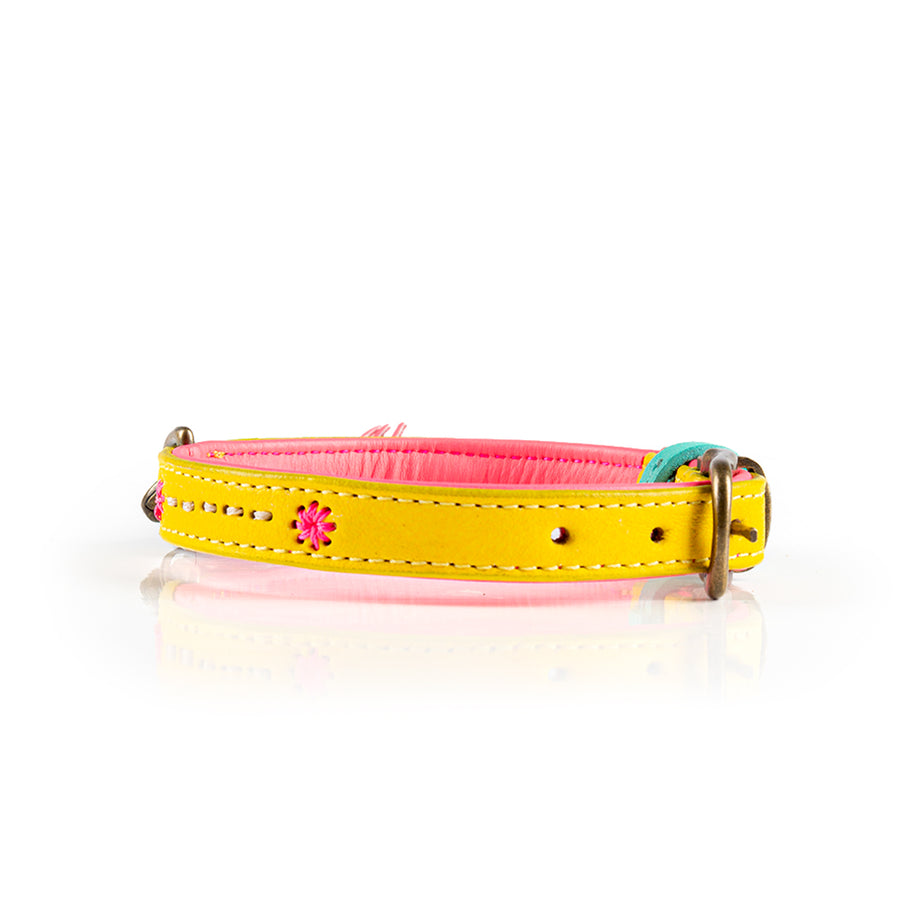 Urban Jessy Collar