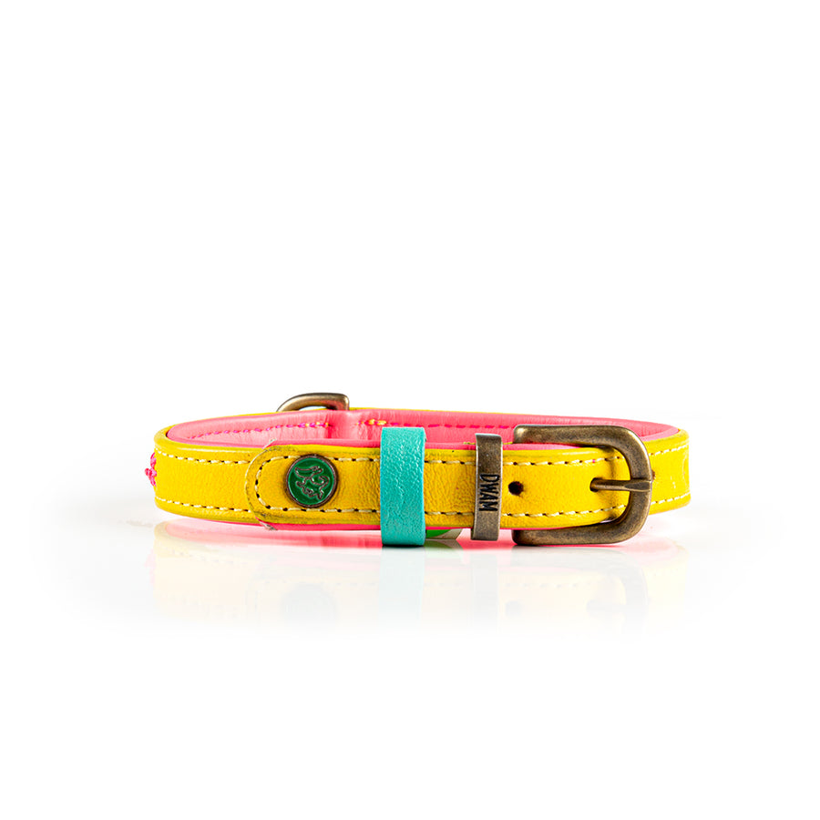 Urban Jessy Collar