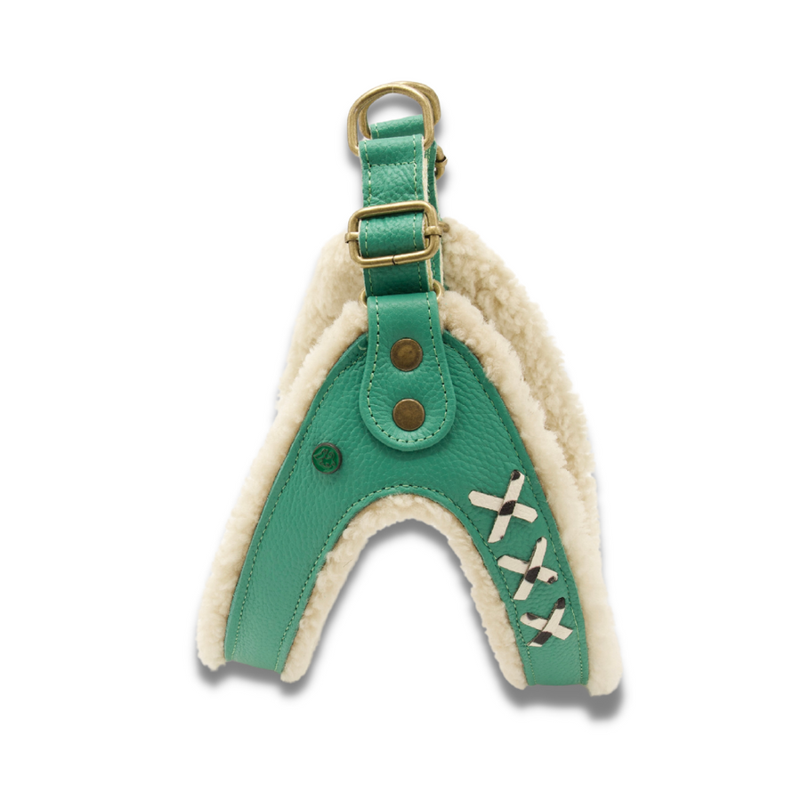 Frenkie Turquoise Dog Harness