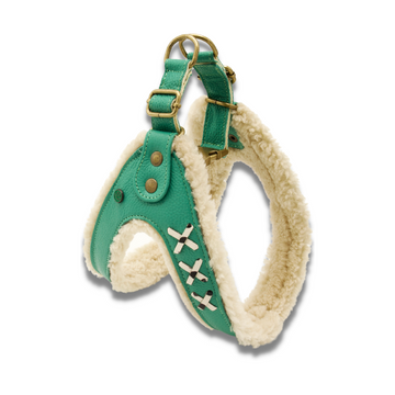 Frenkie Turquoise Dog Harness