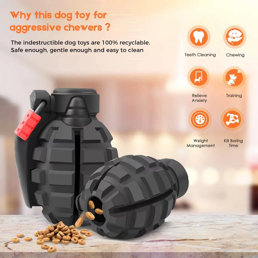 Treat Dispenser