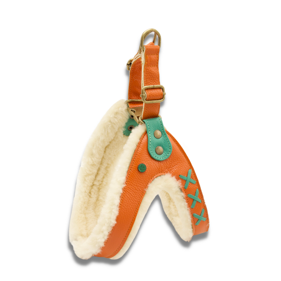 Jottum Orange Dog Harness