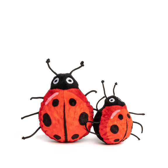 Lady Bug