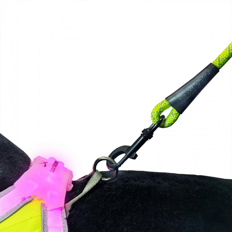 Lighthound High Visibility Dog Leash