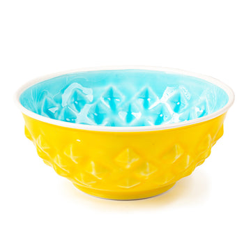 Lemon & Lime Eat and Drink Bowl