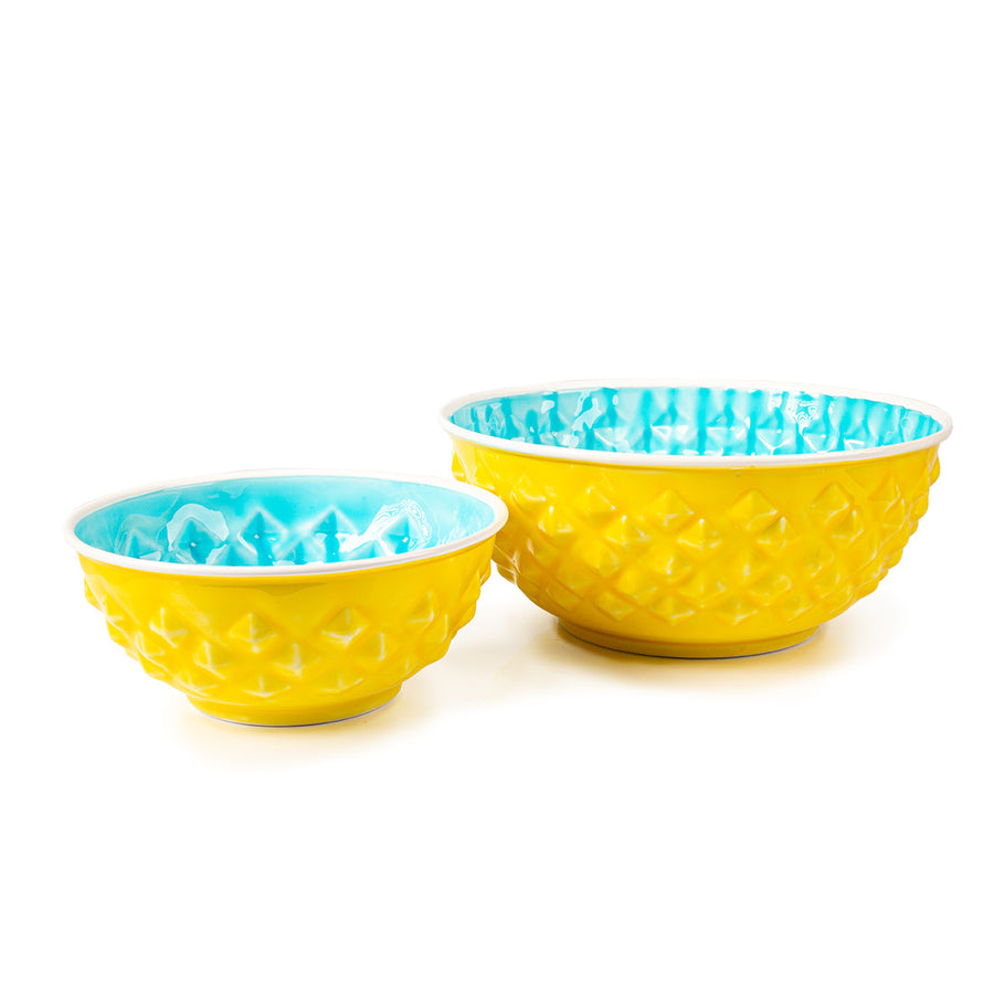Lemon & Lime Eat and Drink Bowl