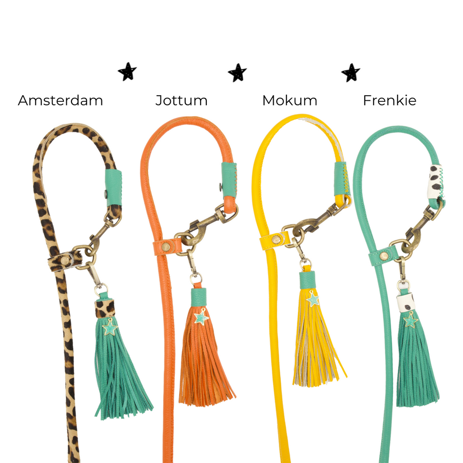 Extra Long Jottum Dog Leash