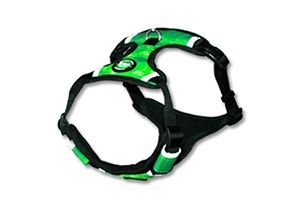 Neoprene Green Harness