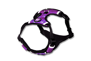 Neoprene purple harness