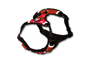 Neoprene Red Harness