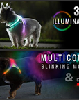 Lighthound LED Dog Harness