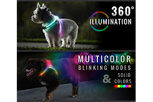 Lighthound LED Dog Harness