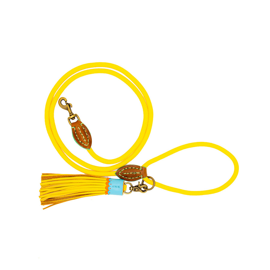 Sunny Dog Leash