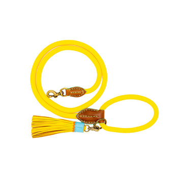 Sunny Dog Leash
