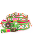 Tropical Summer Dog Collar