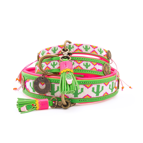 Tropical Summer Dog Collar