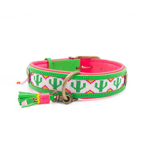 Tropical Summer Dog Collar