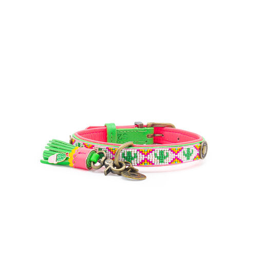 Tropical Summer Dog Collar