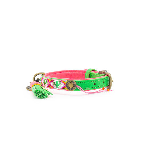 Tropical Summer Dog Collar