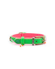 Tropical Summer Dog Collar