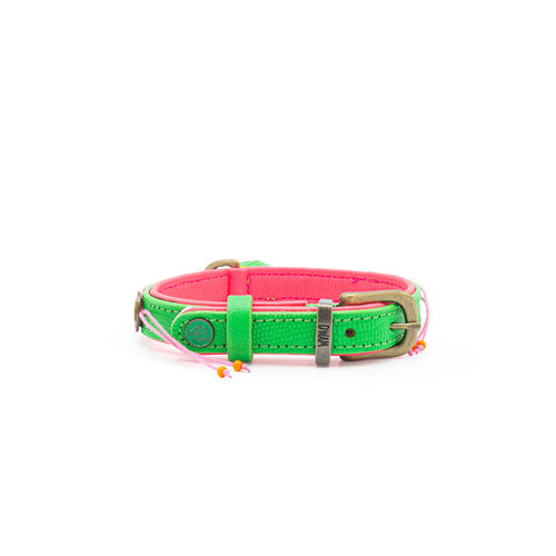 Tropical Summer Dog Collar