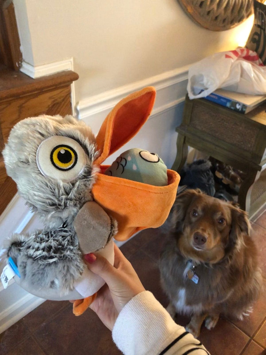 Big Bill & Beak-A-Boo Fish โ SALTYDOGยฎ