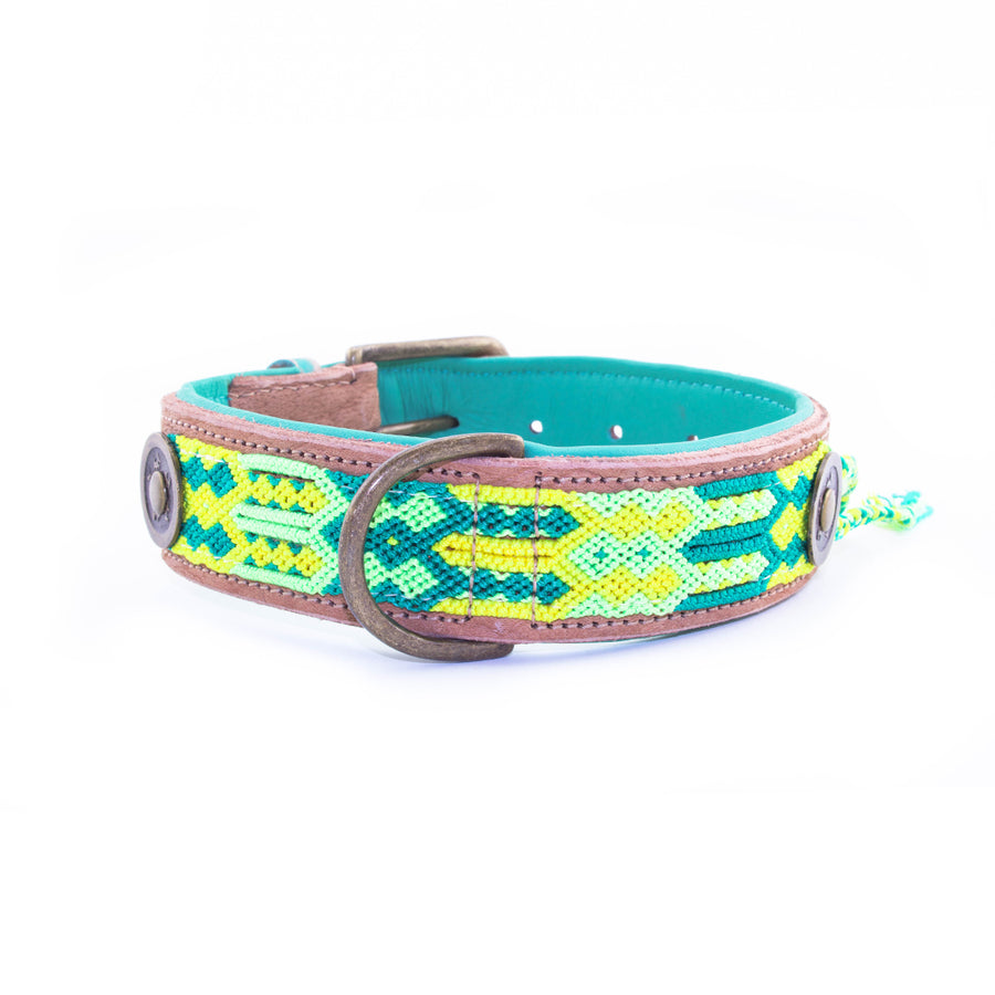 Cactus Dog Collar