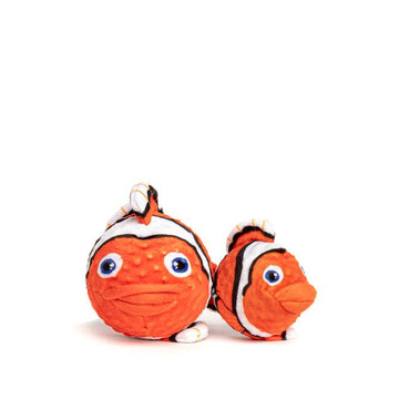 Clownfish