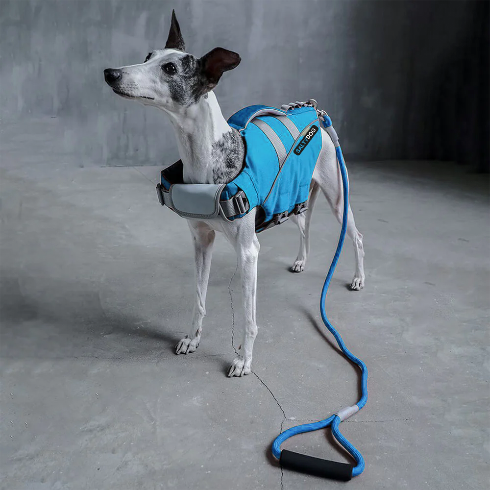 Blue SaltyDOG dog life jacket with handle and reflective trim