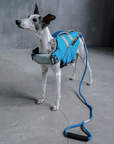 Blue SaltyDOG dog life jacket with handle and reflective trim