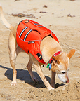 dog_life_jacket_orange