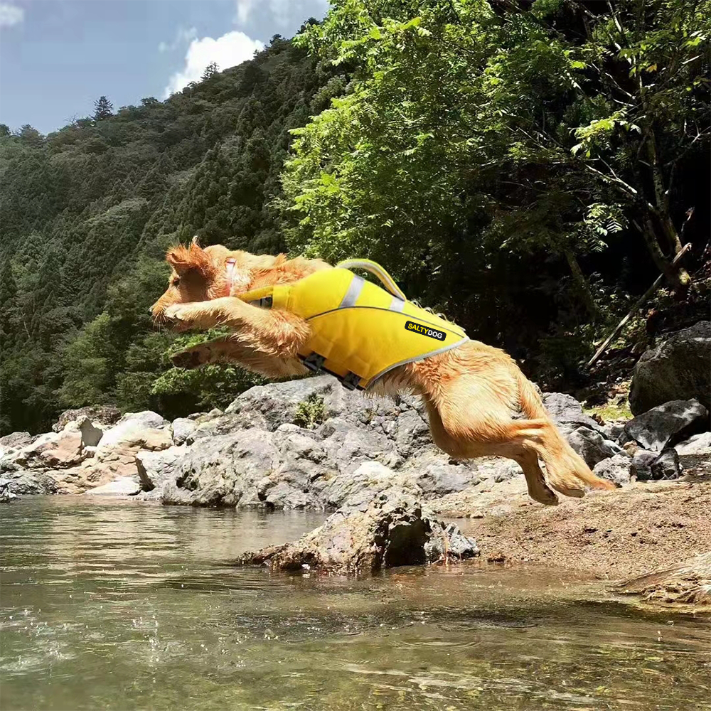 Big dog wearing yellow SaltyDOG Waverider life jacket at the beach