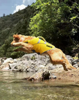Big dog wearing yellow SaltyDOG Waverider life jacket at the beach
