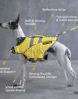 Small whippet dog wearing yellow SaltyDOG Waverider life jacket at the beach