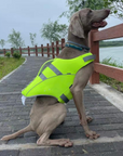 dog life jackets from saltydogs.com.au