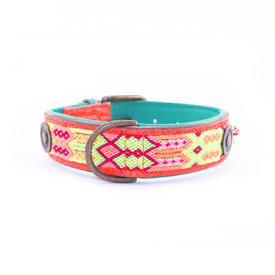 Ginger dog collar