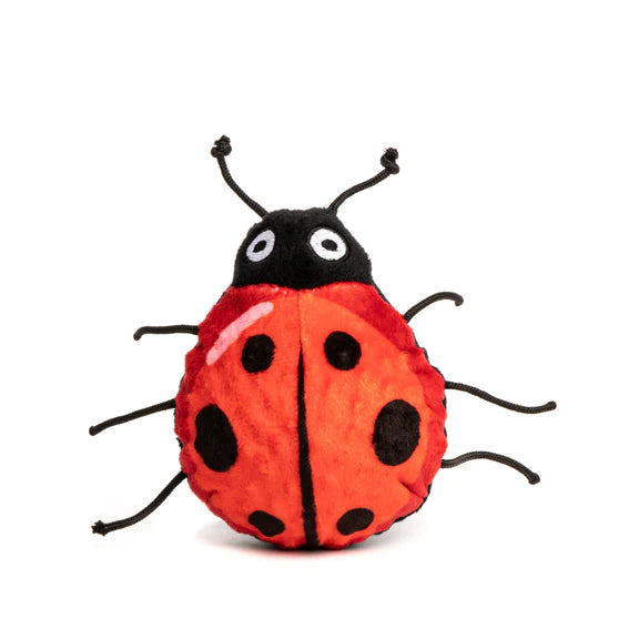 Lady Bug