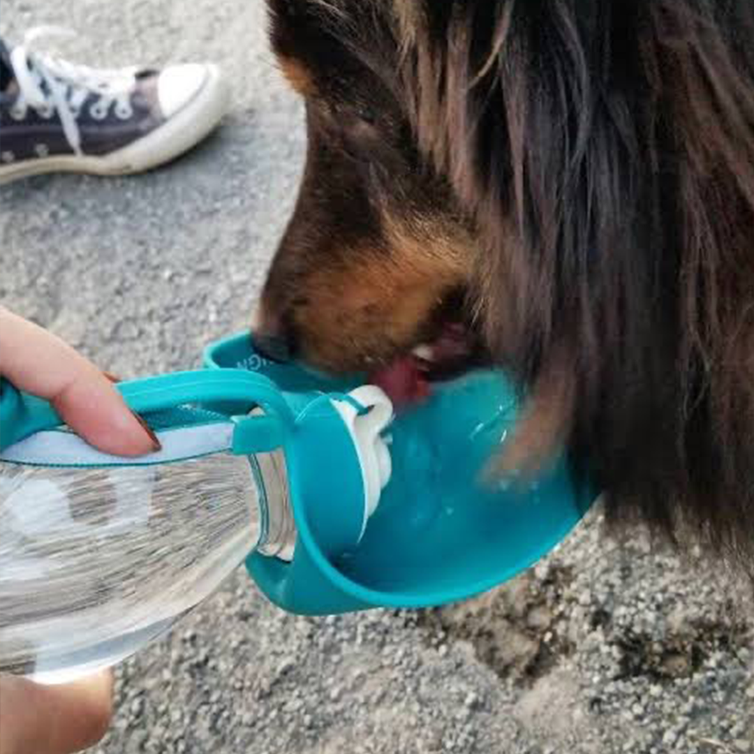 Portable Blue Water Bottle