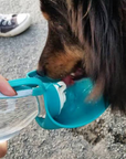 Portable Blue Water Bottle