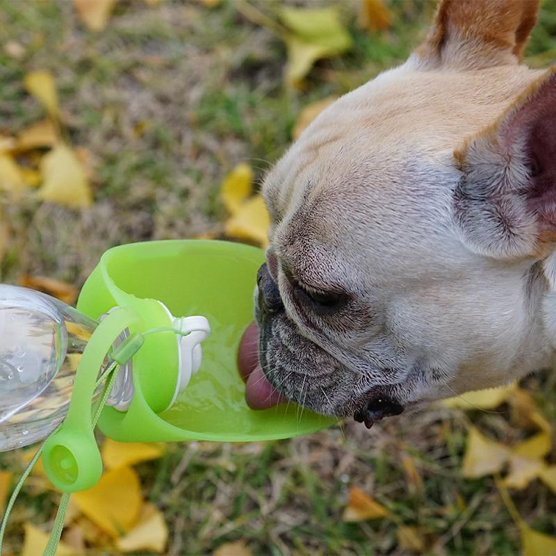 Portable Green Water Bottle